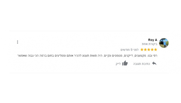 תגובה רוי